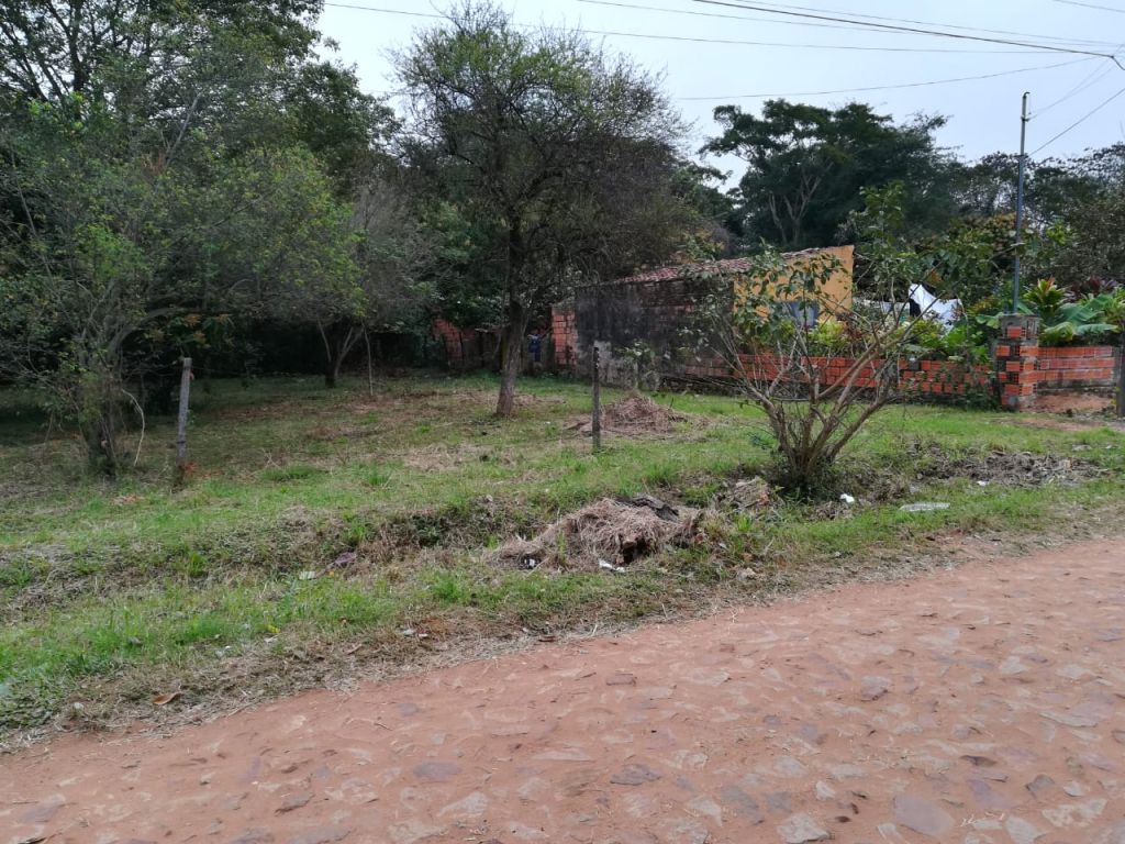 OFERTO DOS TERRENOS EN LIMPIO. — foto 2
