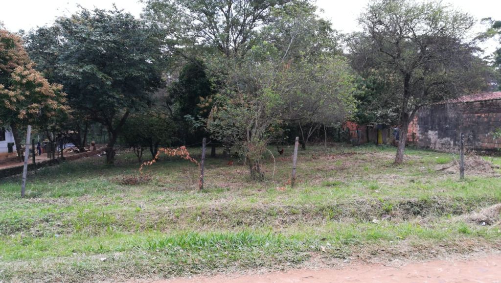 OFERTO DOS TERRENOS EN LIMPIO. — foto 3