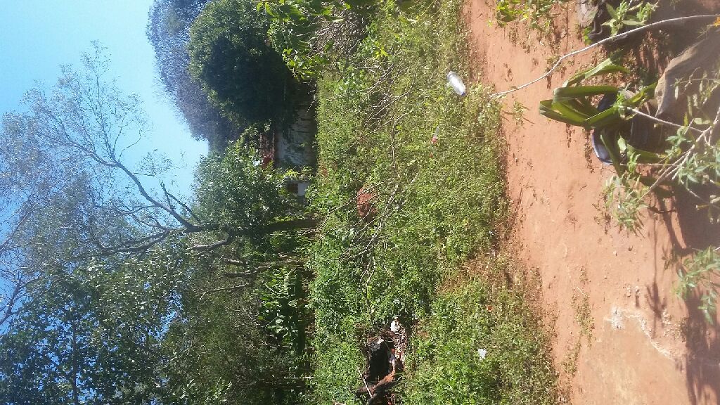 Vendo un terreno en isla bogado luque — foto 2