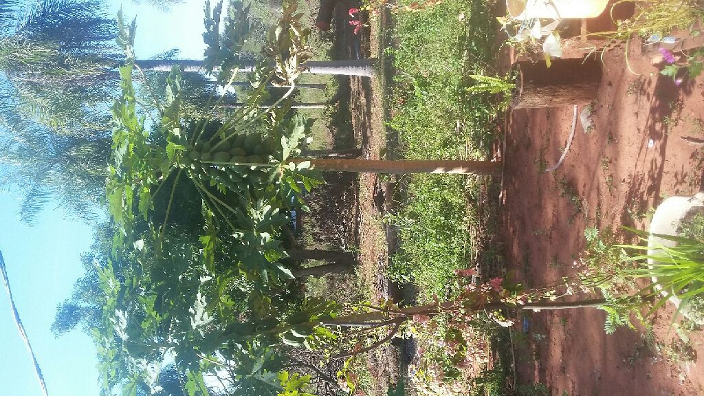 Vendo un terreno en isla bogado luque — foto 3
