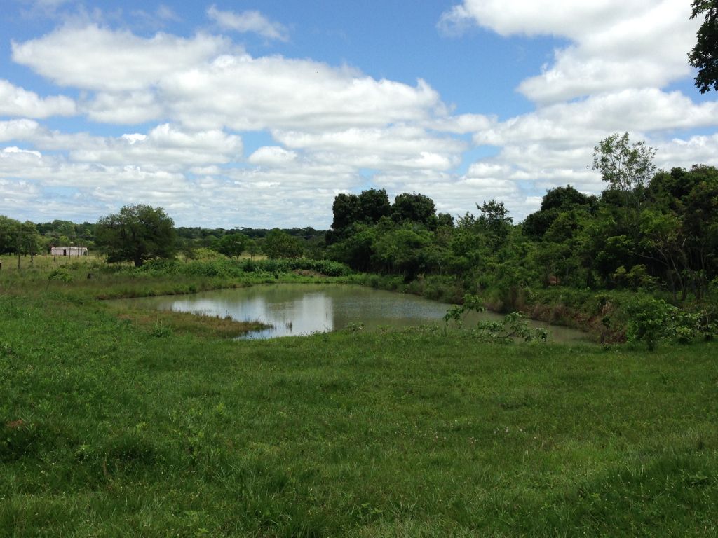 Vendo Hermosa Granja — foto 3