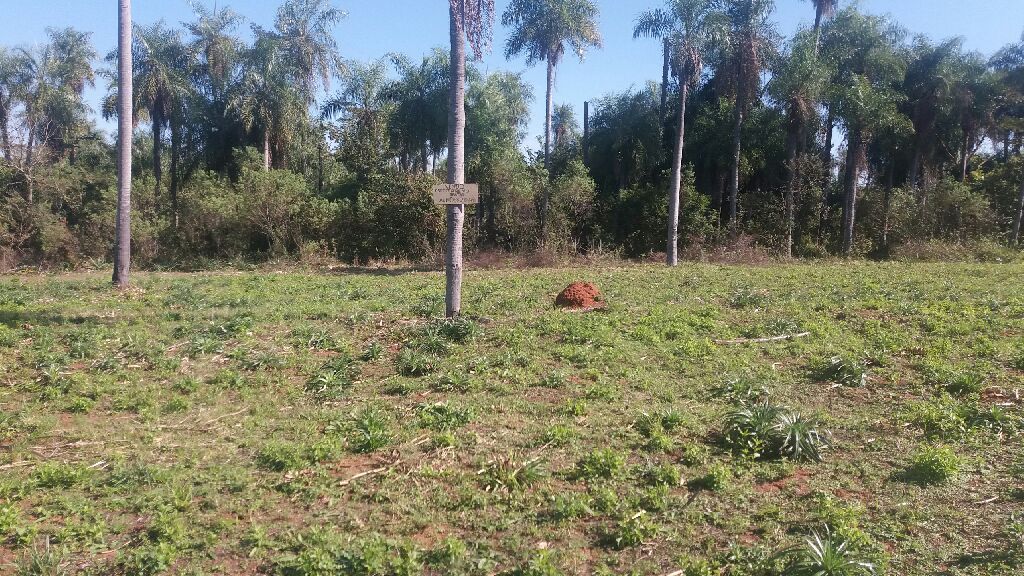 Vendo este terreno — foto 2