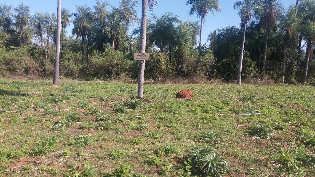 Vendo este terreno — foto 3