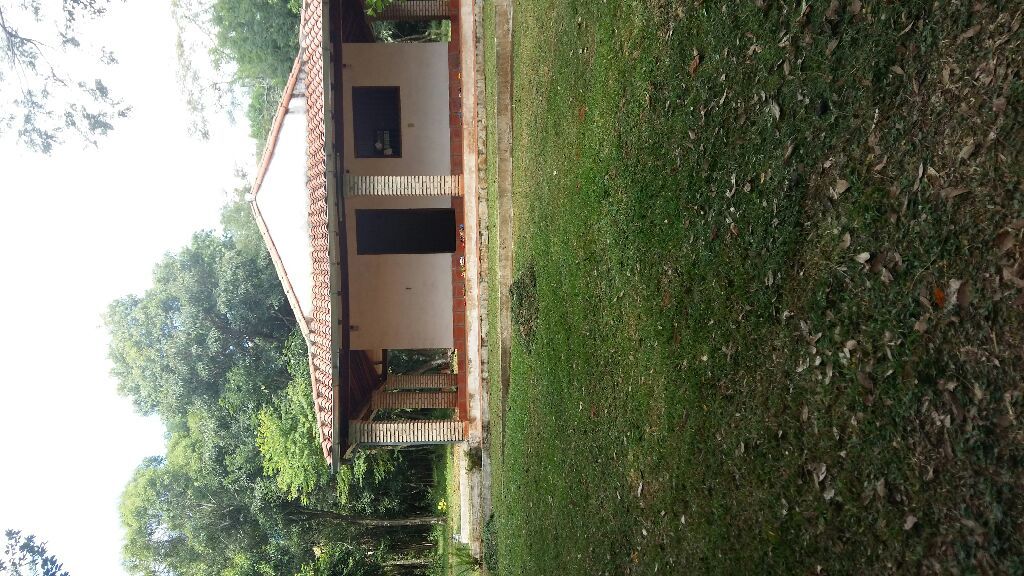 VENDO 6 H PIRIBEBUY — foto 2