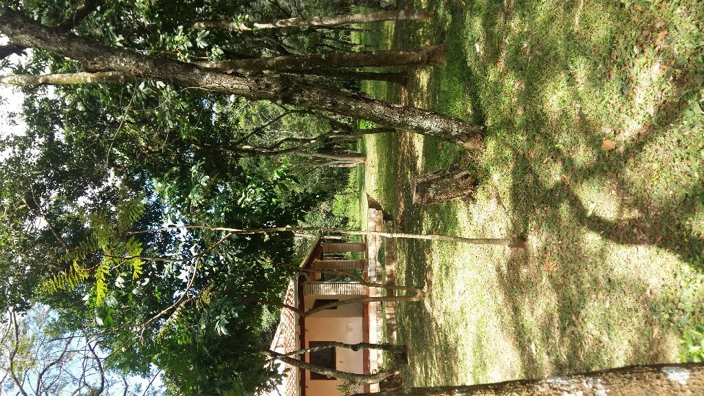 VENDO 6 H PIRIBEBUY — foto 3