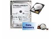 DATA RECOVERY HDD P/NB SAMSUNG 1000GB ST1000LM024