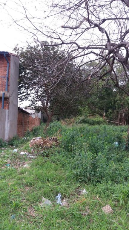 Vendo hermoso terreno en Barcequillo a 50m del Paseo Avelino — foto 3
