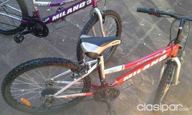 Bici Milano Aro 24 2025