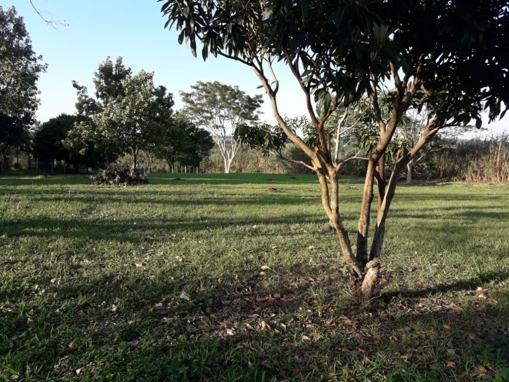 Terreno en Encarnación — foto 3