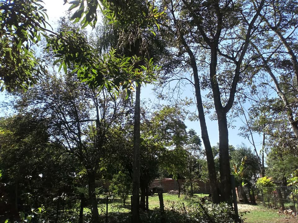 Dos terrenos juntos en MRA especial para inversión — foto 2