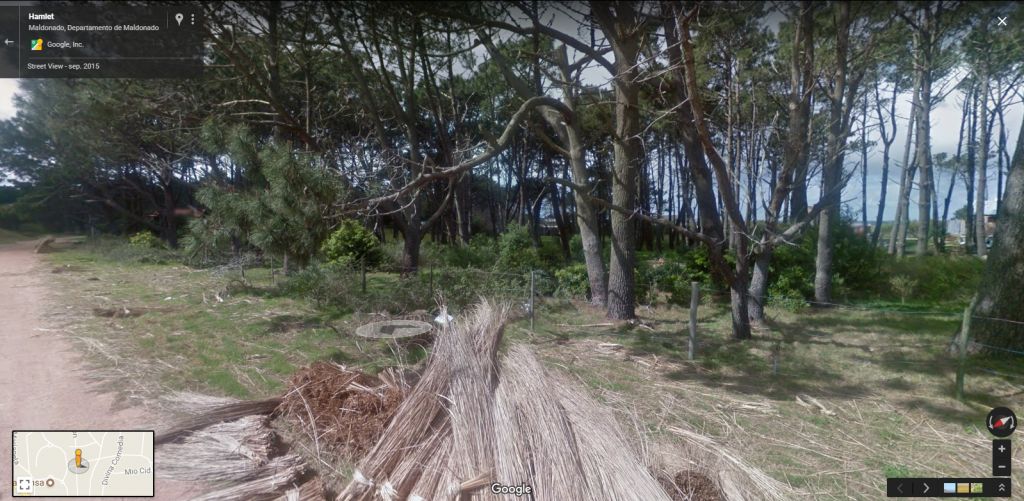 PUNTA DEL ESTE, URUGUAY. REGALO DOS TERRENOS PARADA 42, A DOS CUADRAS DEL MAR 1.875 MTS2 — foto 3