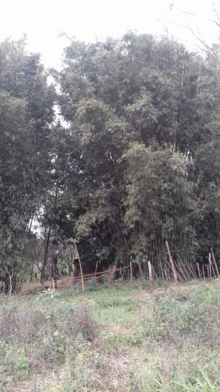 TERRENO ESPECIAL PARA INVERSIONISTAS — foto 2