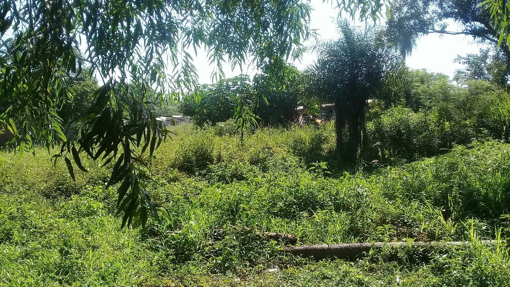 terreno 12 por 30 en Ypane — foto 2