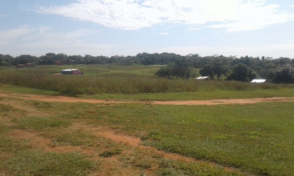 Vendo lotes — foto 3
