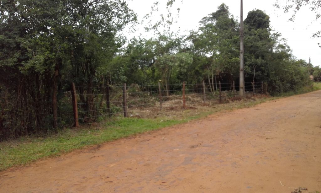Vendo terreno en itaugua zona potrero — foto 3
