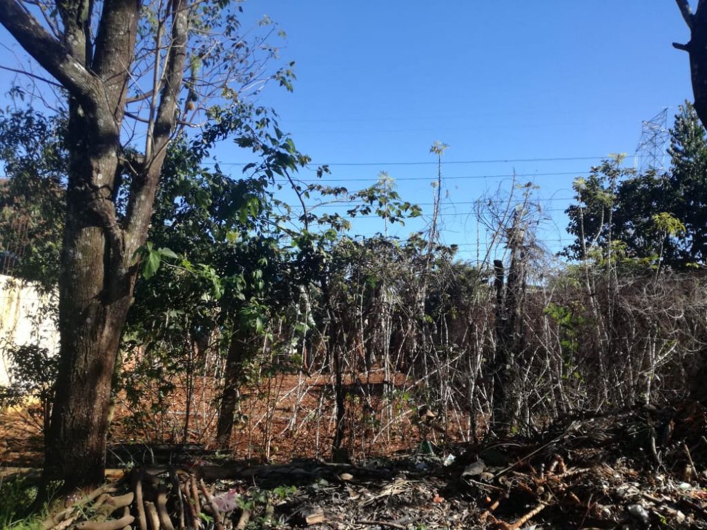 vendo terreno ubicado en el barrio la blanca cuidad del este — foto 2