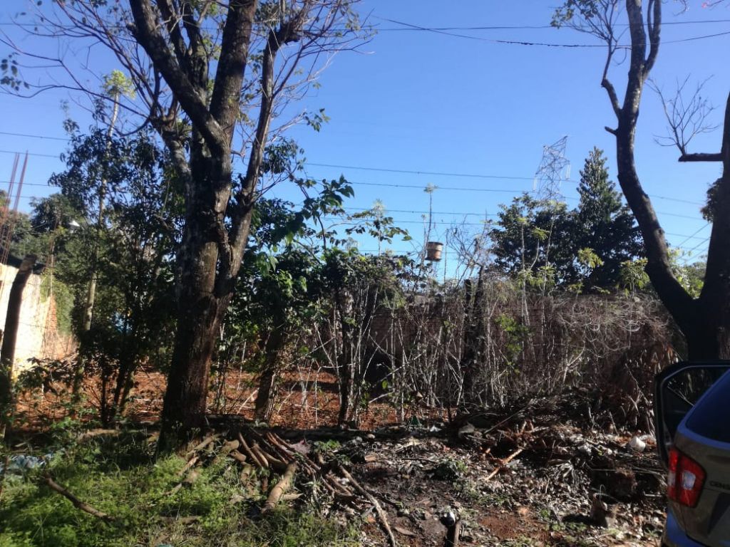 vendo terreno ubicado en el barrio la blanca cuidad del este — foto 3