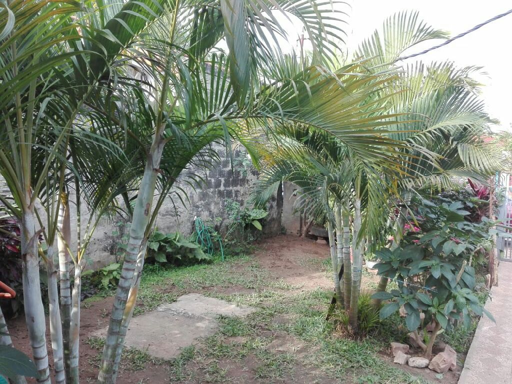 Vendo hermosa casa — foto 2