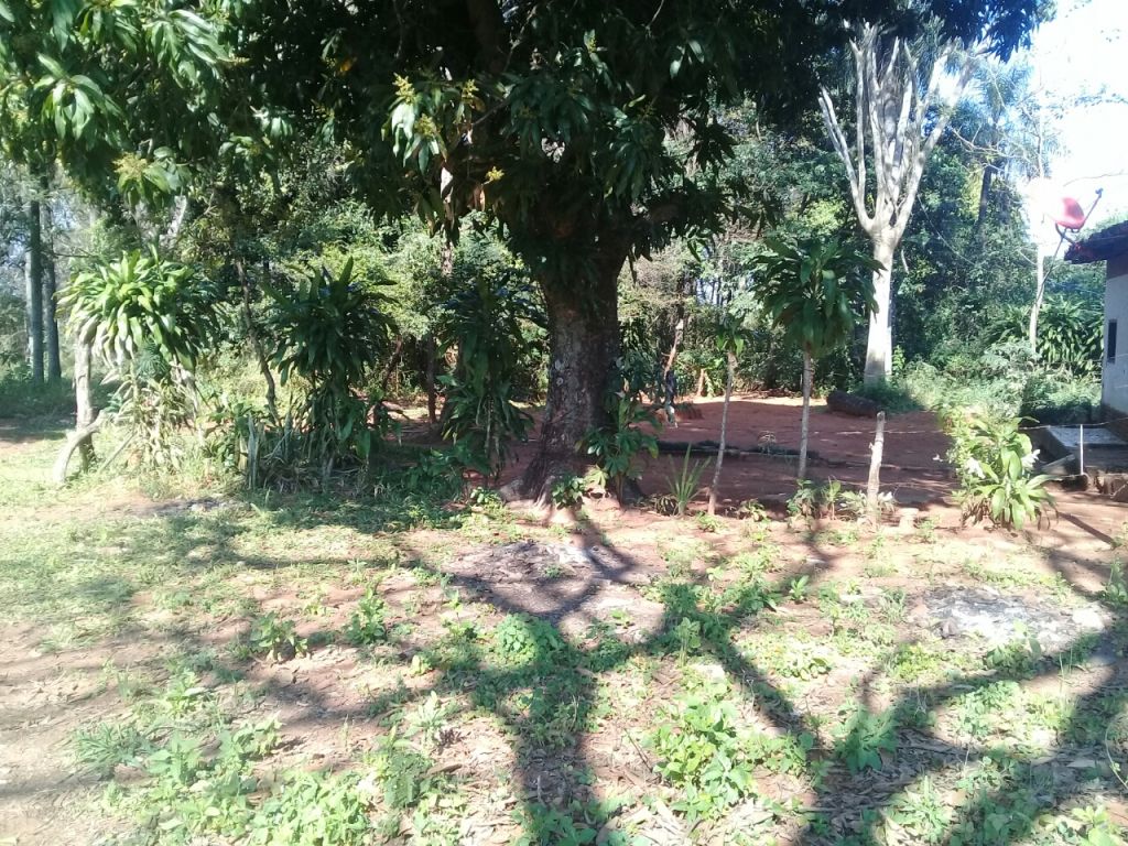 URGENTE REMATÓ TERRENO 30MILLONES CON TÍTULO..!! — foto 2