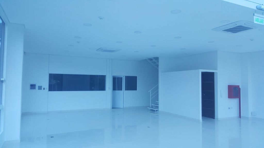 Local Comercial C Deposito Y Showroom - 1133 M2 Zona Shopping Multiplaza — foto 2