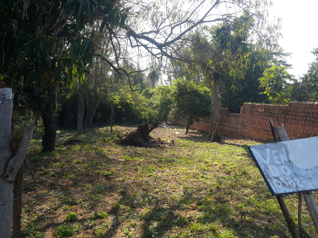 TERRENO EN YPANE CAMINO A PASO DE ORO — foto 2