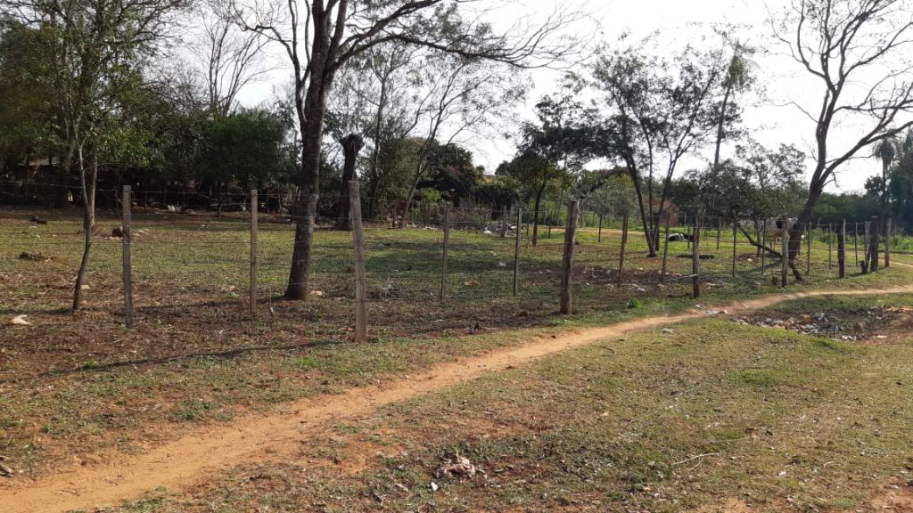 TERRENO EN CAPIATA OFERTA — foto 3