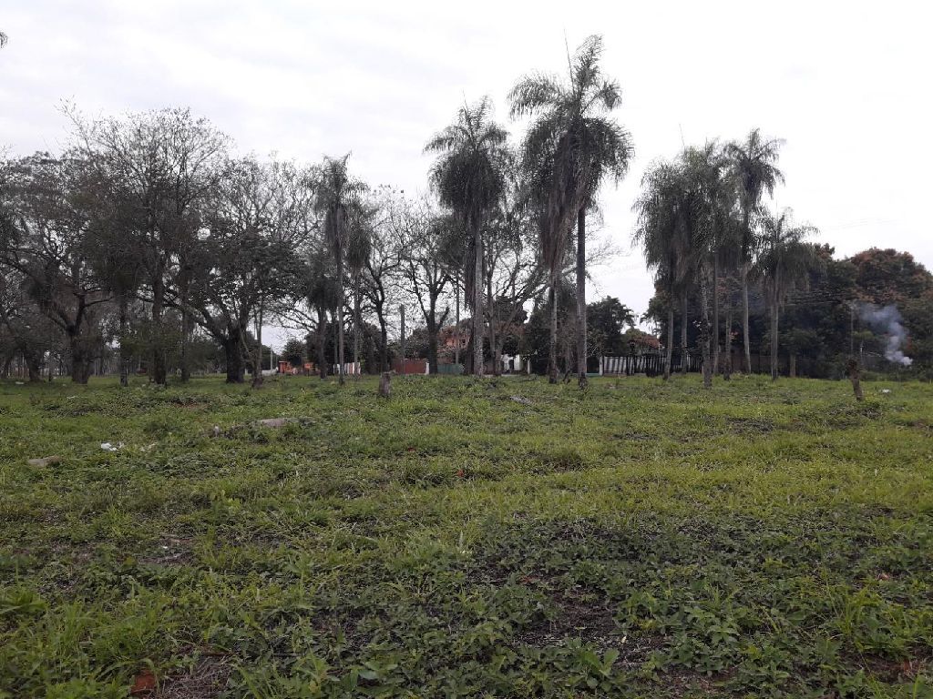 TERRENOS — foto 2