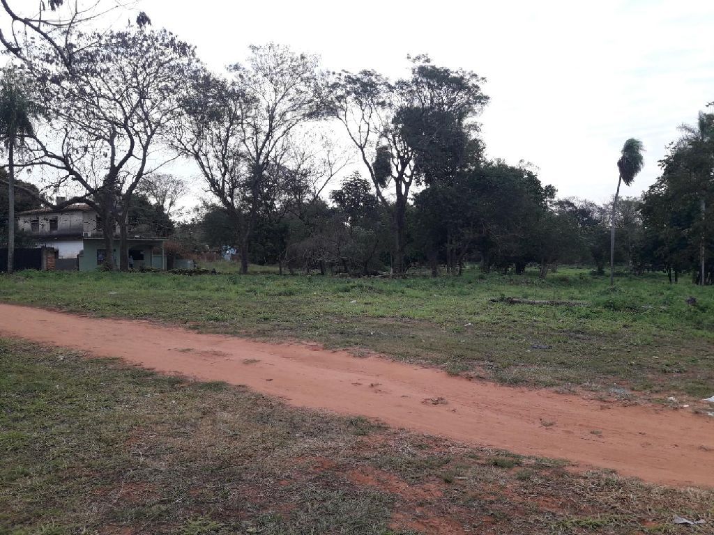 TERRENOS — foto 3
