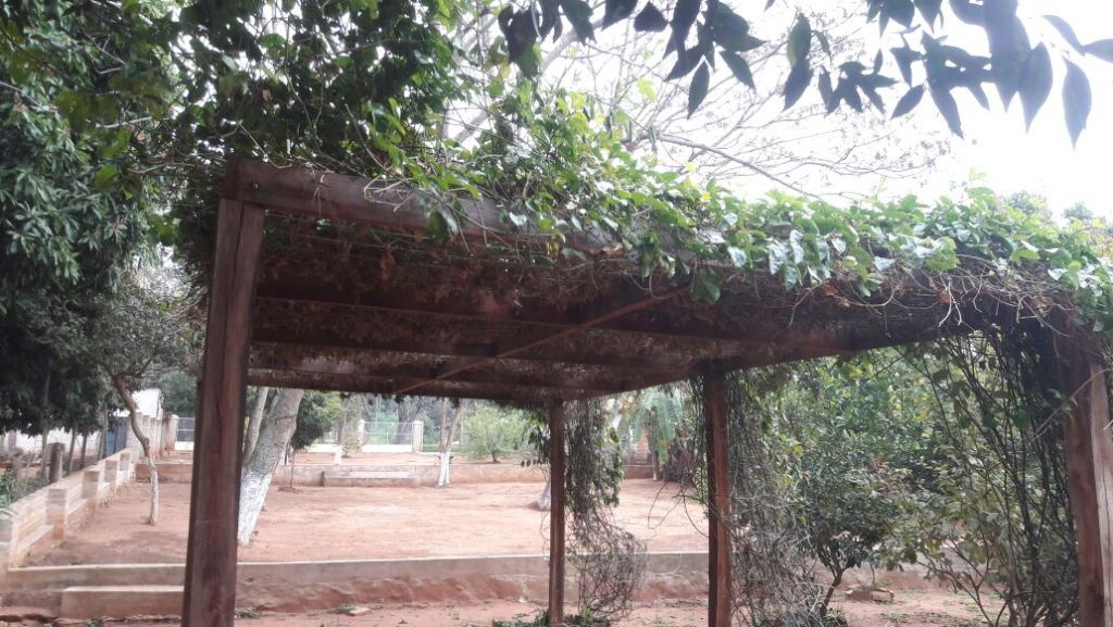 Vendo Terreno amurallado de 20x83 especial para casa quinta o estación de servicio sobre ruta — foto 3