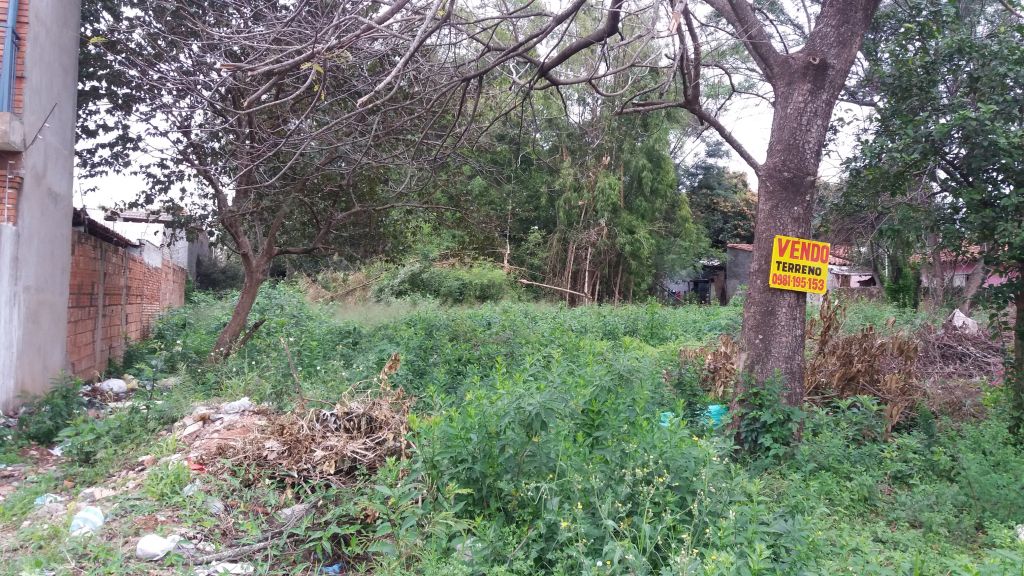 Remato hermoso terreno en Barcequillo San Lorenzo — foto 3