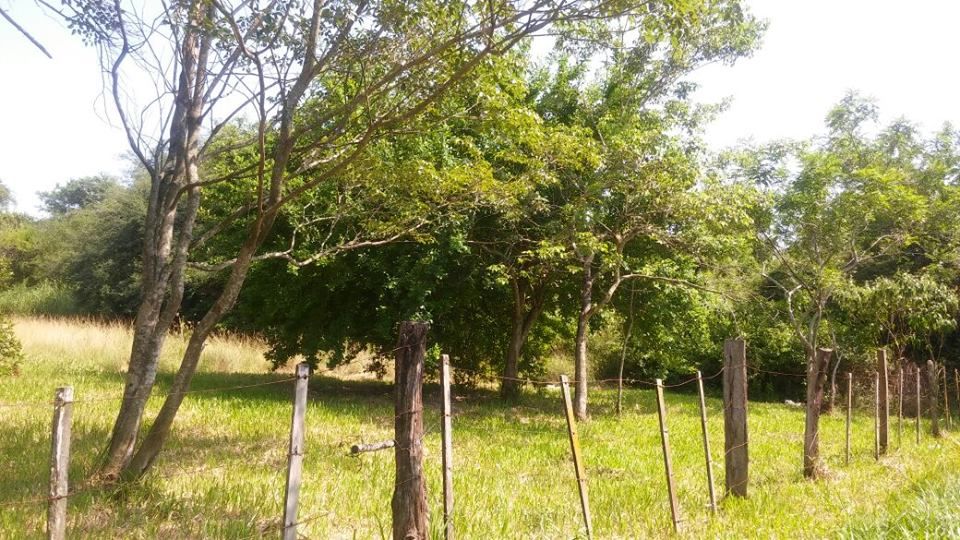 VENDO DOS TERRENOS JUNTOS O SEPARADOS EN ESQUINA — foto 2