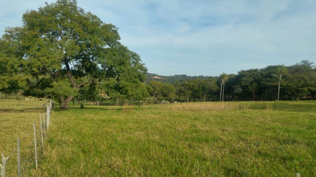 Hermoso Terreno En Piribebuy, Sobre Ruta Piribebuy-paraguari! — foto 2
