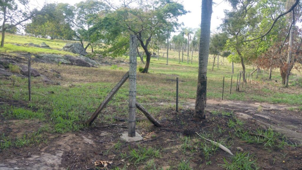 Hermoso Terreno En Piribebuy, A 70 Metros De La Ruta Piribebuy-paraguari! — foto 2