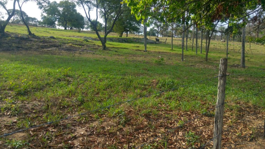 Hermoso Terreno En Piribebuy, A 70 Metros De La Ruta Piribebuy-paraguari! — foto 3