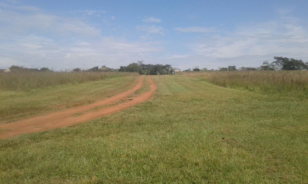 Vendo lotes — foto 2