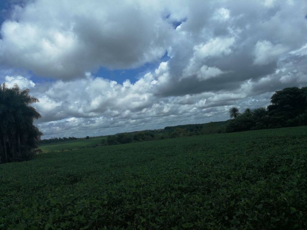 Propiedad de 9 hectáreas en Minga Guazu km 21 — foto 3