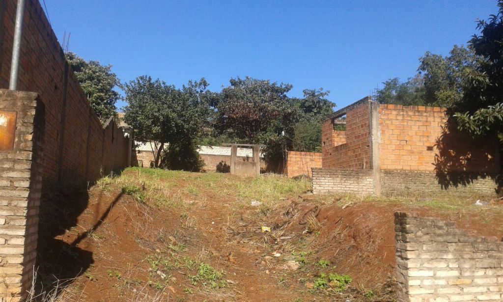 VENDO TERRENO EN CDE — foto 2