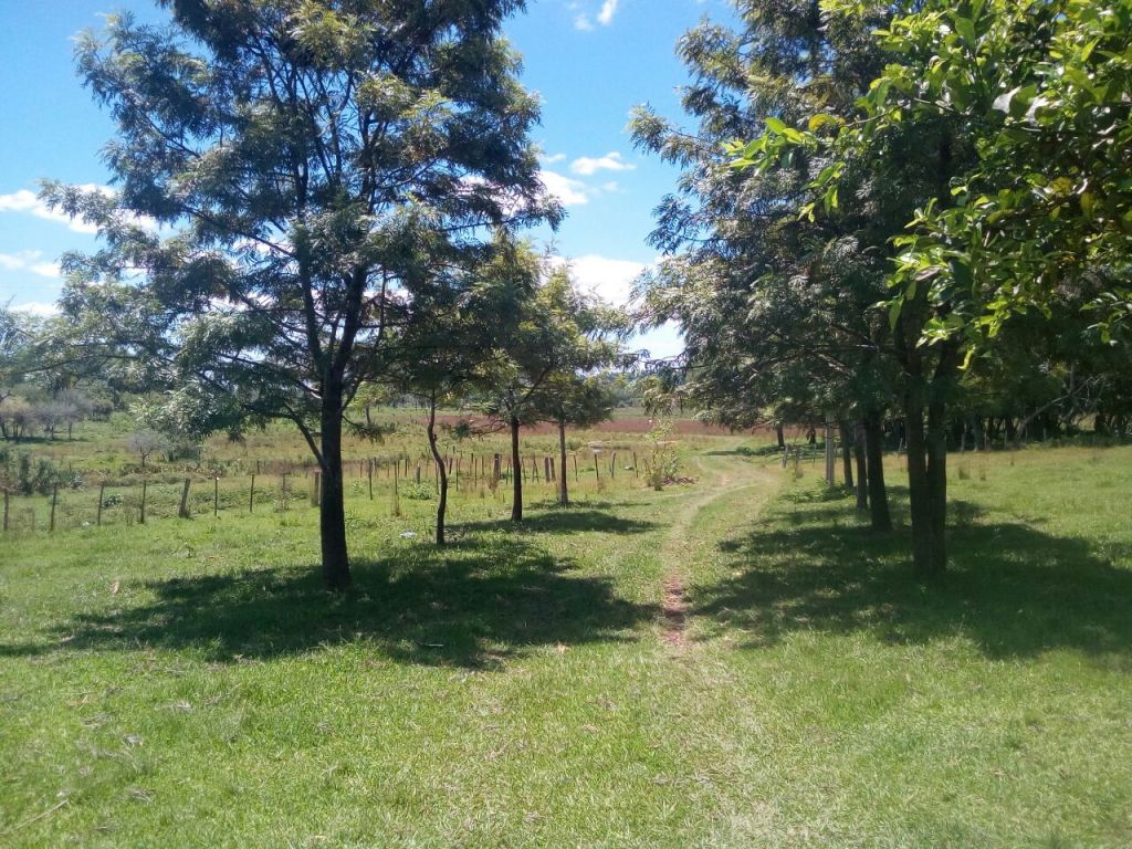 VENDO PROPIEDAD RURAL, LISTO PARA TRABAJAR — foto 2