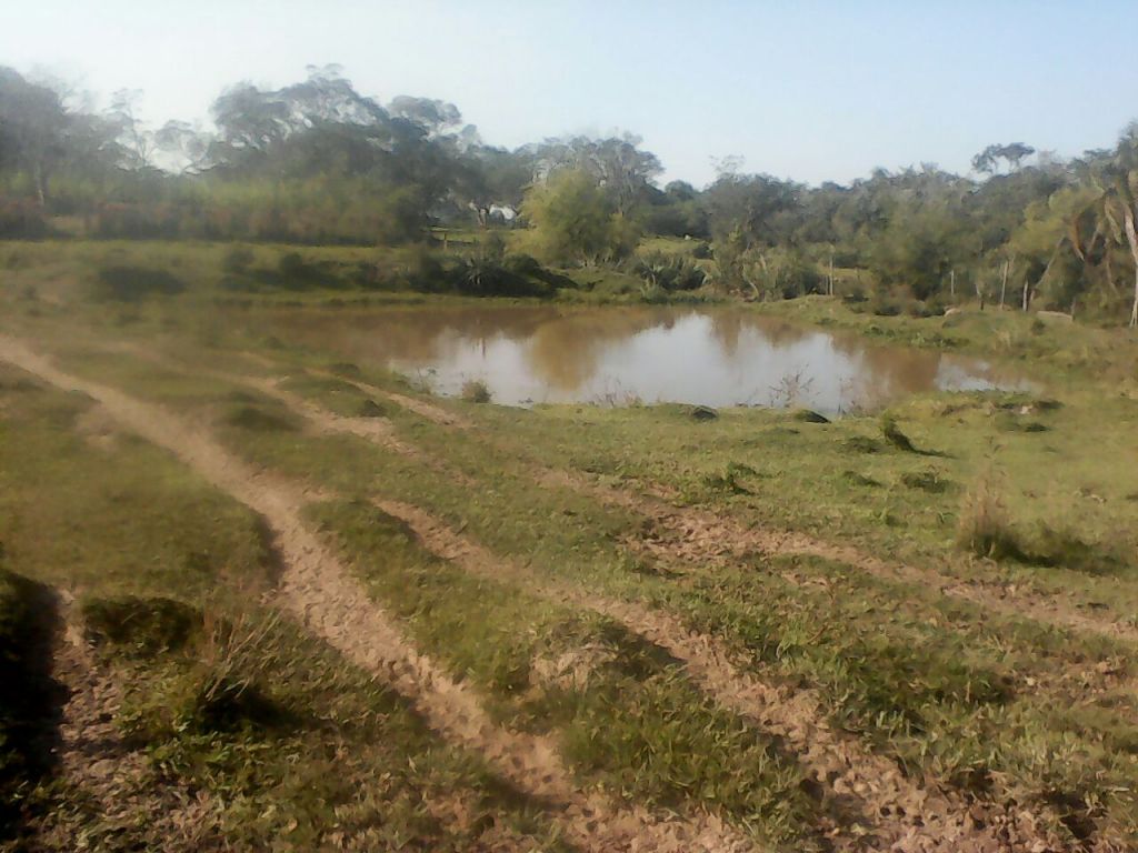 VENDO PROPIEDAD RURAL, LISTO PARA TRABAJAR — foto 3