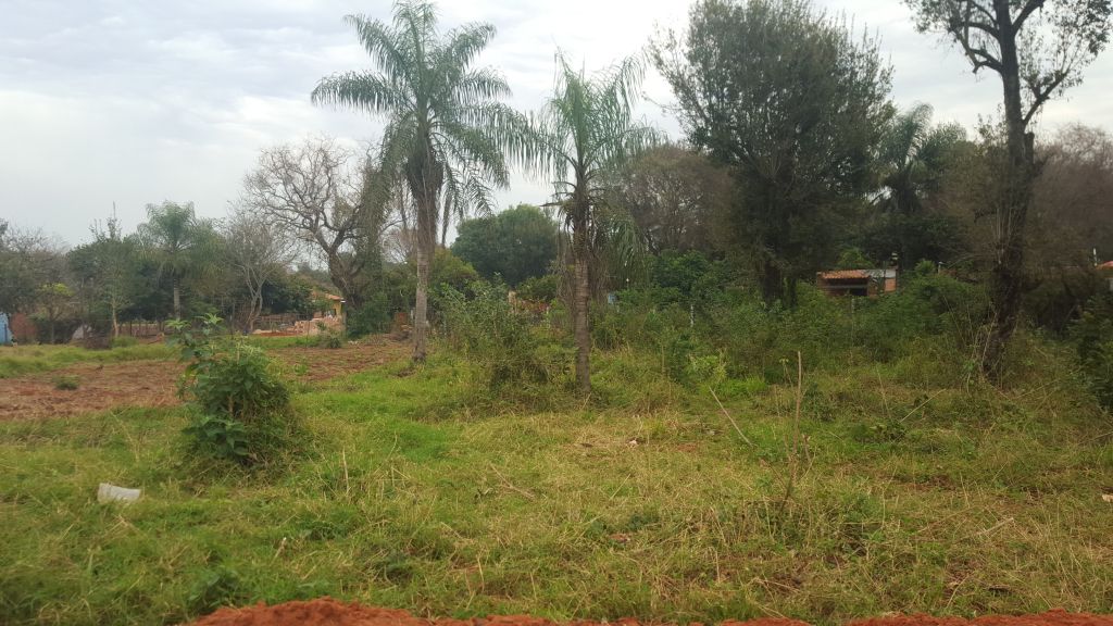 OFERTA VENDO 2 LOTES EN AREGUA — foto 3