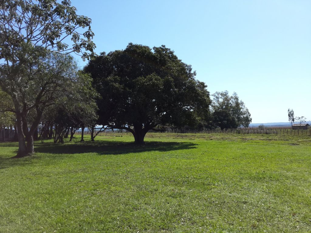 Vendo Quinta en Paraguari ybytymi pueblo a 100 km de Asunción — foto 2