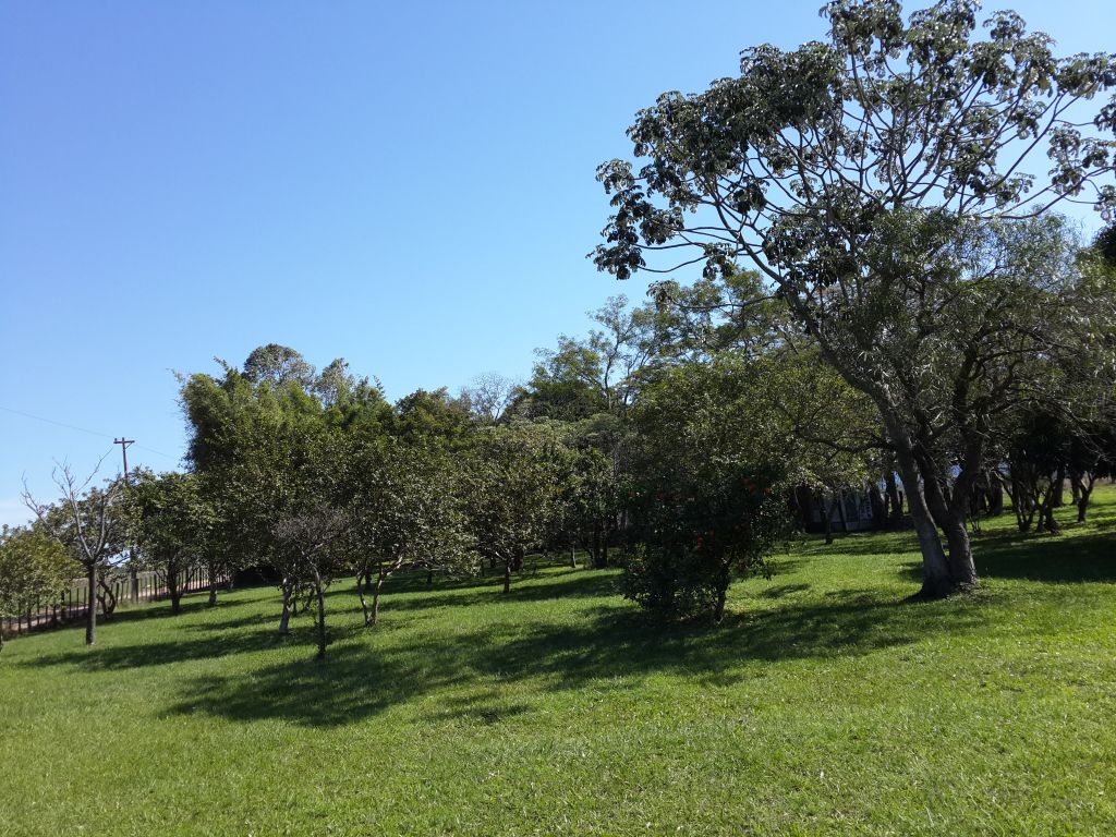 Vendo Quinta en Paraguari ybytymi pueblo a 100 km de Asunción — foto 3