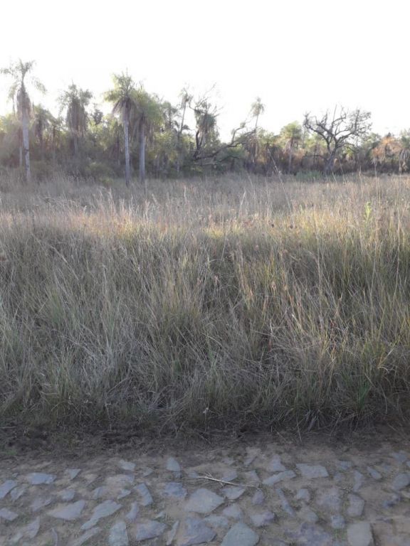 VENDO HERMOSO TERRENO UBICADO EN SAN BERNARDINO — foto 2