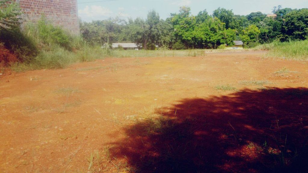 DOS TERRENOS JUNTOS EN KM 5 12 LA BLANCA!! — foto 2