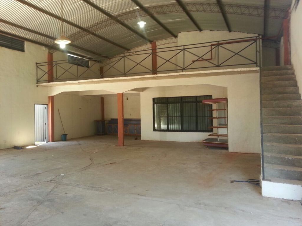 EDIFICIO, TINGLADO MÁS 4 TERRENOS JUNTOS — foto 3