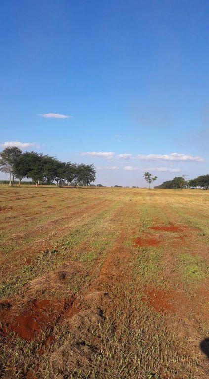 Lotes en Alto Parana. Via inmobiliaria — foto 3