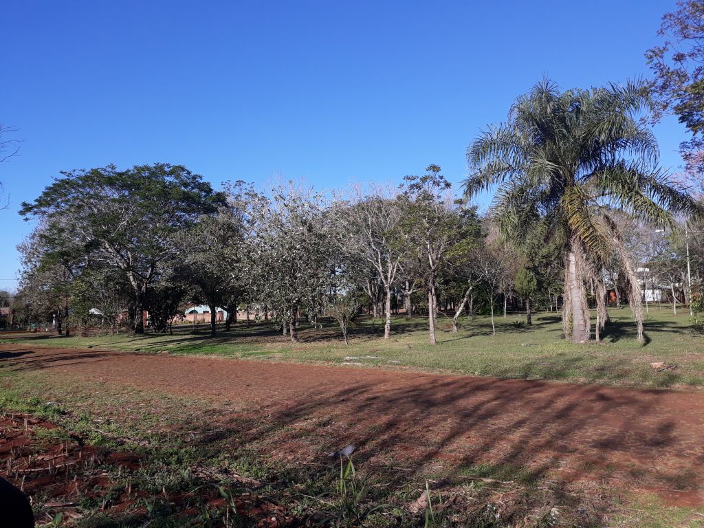 Terreno en venta en zona residencial, frente a plaza en Hohenau — foto 2
