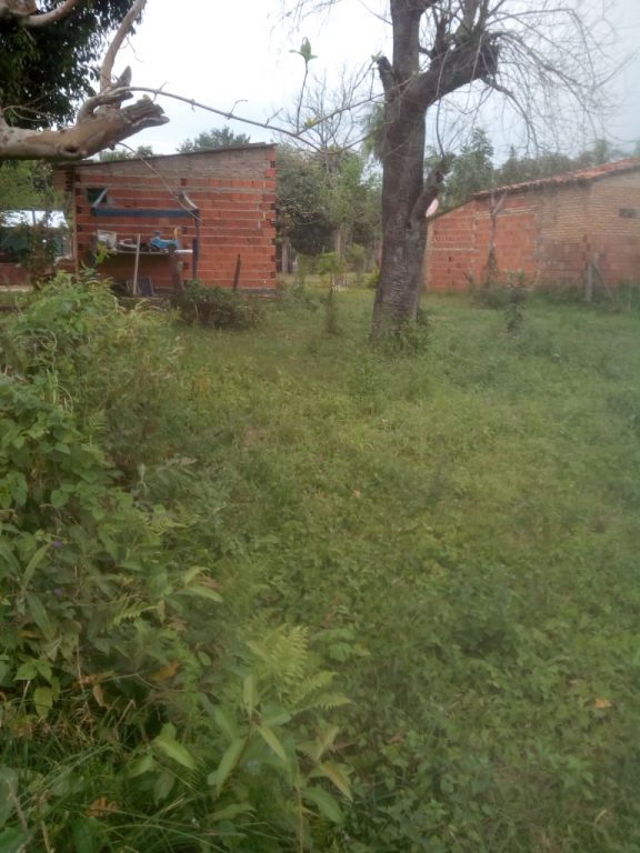 terreno con casita — foto 2