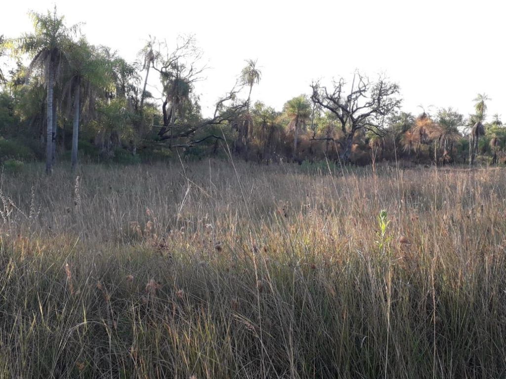 Vendo hermoso terreno en San Bernardino (Ciervo Cua) — foto 2
