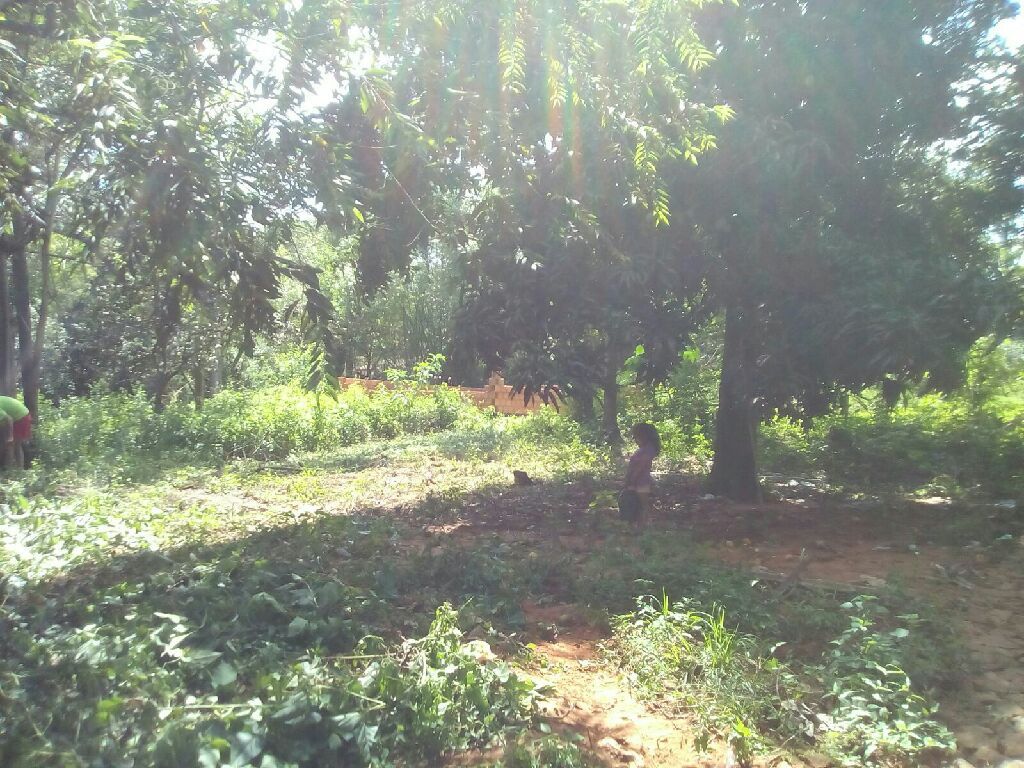 Vendo terreno — foto 2
